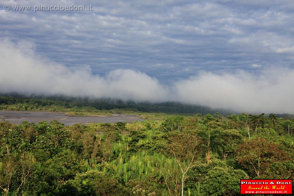 ECUADOR - Foresta Amazzonica - 01.jpg